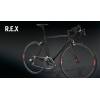 REX (Modell 2011)