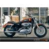Harley-Davidson Sportster 1200 Custom (49 kW) [11]
