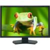 NEC SpectraView 231