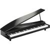 Micro-Piano