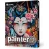 Painter XII