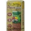 Boden-Gold Pinien Dekor