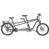 Flyer TandemXT
