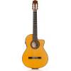 55 FCE Thinline Flamenco-Gitarre