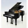 C. Bechstein Academy A.175