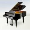 C. Bechstein W.HOFFMANN Vision V.175