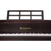 Modell 170 Conservatory Series