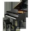 Essex EGP-173 Classic Grand
