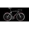 Stöckli Sport Circon Carbon RS (Super Record)