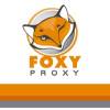 Foxy Proxy 3.1