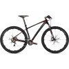 Raven 29er 1.0 - Shimano XTR (Modell 2012)