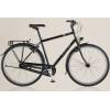 Gaastra Bikes FYTS 4.11 - Shimano Alfine 11-Gang (Modell 2012)