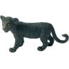 Panther-Junges