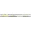 Fischer Sport RCS Carbonlite Classic Plus (Modell 2011/2012)