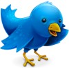 The Iconfactory Twitterrific 4.4.2