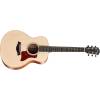 Taylor Guitars GS Mini