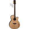 Luna Guitars VG SIG (Vicki Genfan Signature)