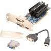 HD6450FleX (1 GB-DDR3)