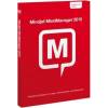 Mind Manager 2012 Professional