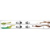 Fischer Sport Koa 98 My Style (Modell 2011/2012)