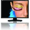 NEC SpectraView Reference 301