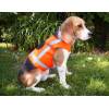 Hunde-Signal-Weste Holstein