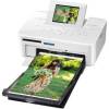 Selphy CP 810