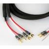 Tchernovaudio Cuprum Reference SC Sp/Bn