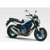 Suzuki SFV 650 Gladius