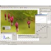Delphinus Image Processing Software