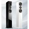 Adam Audio ARTist 6