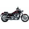 Triumph Thunderbird ABS (63 kW) [12]