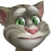 Talking Tom Cat2