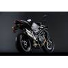 MV Agusta Brutale 920 (96 kW) [12]