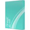 SnagIt11