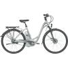 Flyer T9 Deluxe - Shimano Alfine 8Gang (Modell 2012)