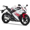 YZF-R 125 50th Anniversary (11 kW) [12]