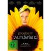 DVD Phoebe im Wunderland