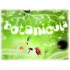 Botanicula (für PC)