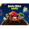 Rovio Mobile Angry Birds Space HD