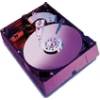 Caviar RE WD 1200SB (120 GB)
