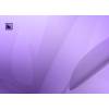 Media Encoder CS 6 (für Mac)