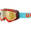 Take Off Skibrille/Snowboardbrille Modell 2011