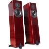 Totem Acoustic Forest Signature