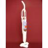 LaserPremium Dampfreiniger