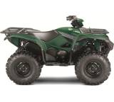 Grizzly 700 EPS 4WD CVT (35 kW)