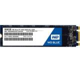 WD Blue PC SSD M.2 (500 GB)