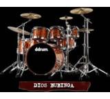 Schlagzeug im Test: Dios Bubinga Elite Drumset von ddrum, Testberichte.de-Note: ohne Endnote