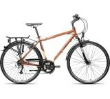 Fahrrad im Test: Alboin 700 Herrenmodell von Gepida, Testberichte.de-Note: 3.0 Befriedigend