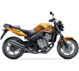 Motorrad im Test: CBF 600 (57 kW) [08] von Honda, Testberichte.de-Note: 2.6 Befriedigend